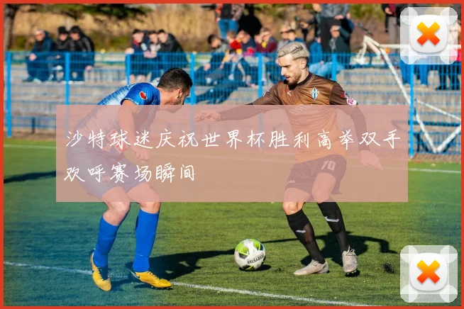 沙特球迷庆祝世界杯胜利高举双手欢呼赛场瞬间