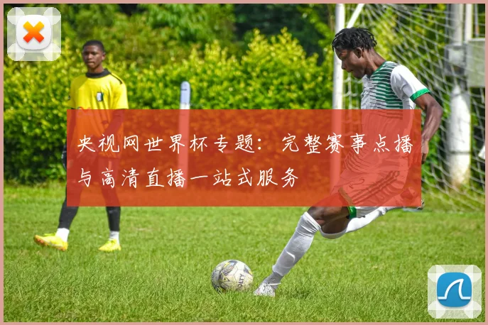 央视网世界杯专题：完整赛事点播与高清直播一站式服务