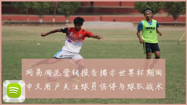 网易洞见营销报告揭示世界杯期间中文用户关注球员伤停与球队战术分析