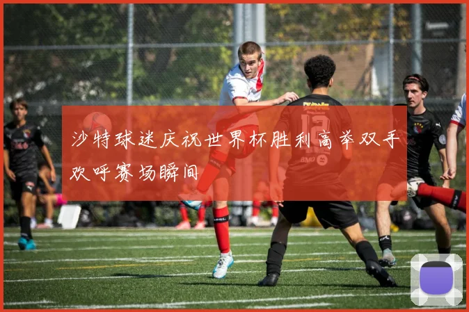 沙特球迷庆祝世界杯胜利高举双手欢呼赛场瞬间