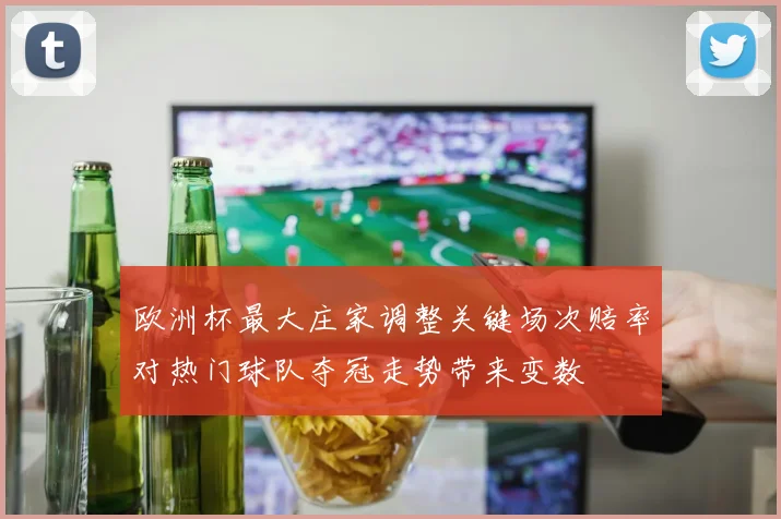 欧洲杯最大庄家调整关键场次赔率对热门球队夺冠走势带来变数