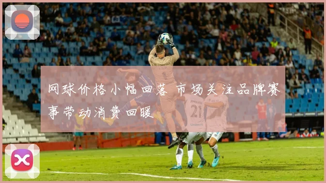 网球价格小幅回落 市场关注品牌赛事带动消费回暖