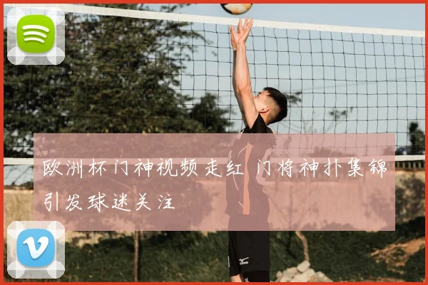 欧洲杯门神视频走红 门将神扑集锦引发球迷关注