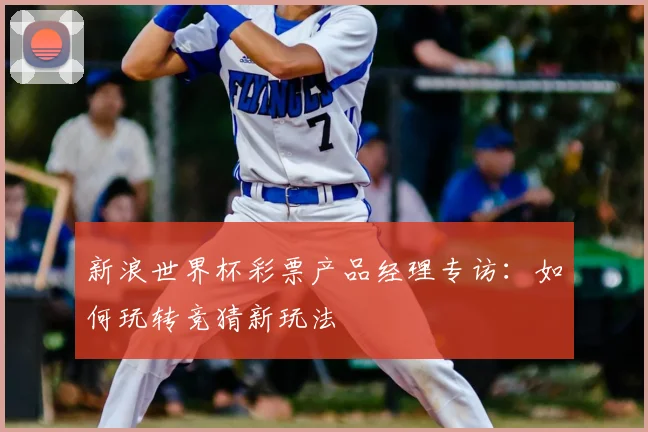 新浪世界杯彩票产品经理专访:如何玩转竞猜新玩法