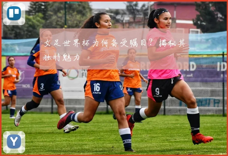 女足世界杯为何备受瞩目？揭秘其独特魅力