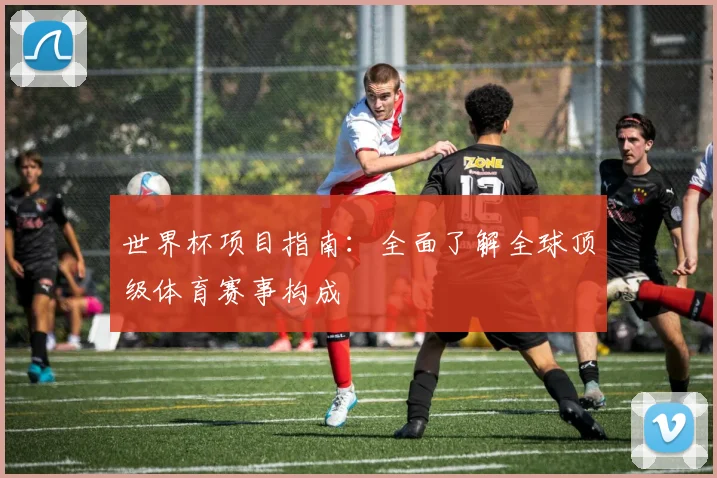 世界杯项目指南:全面了解全球顶级体育赛事构成